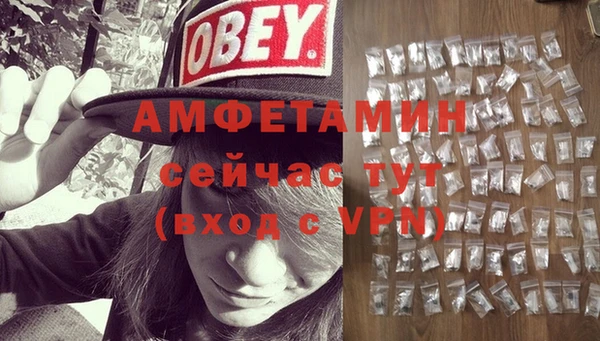 ПСИЛОЦИБИНОВЫЕ ГРИБЫ Абаза