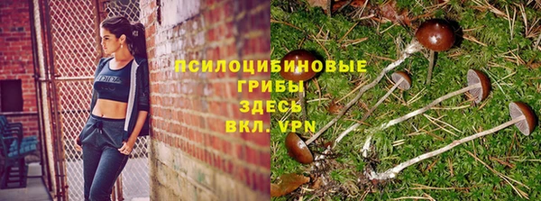 твердый Абинск